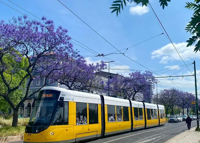 New Luxury - Center *