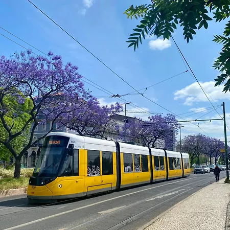 New Luxury - Center *